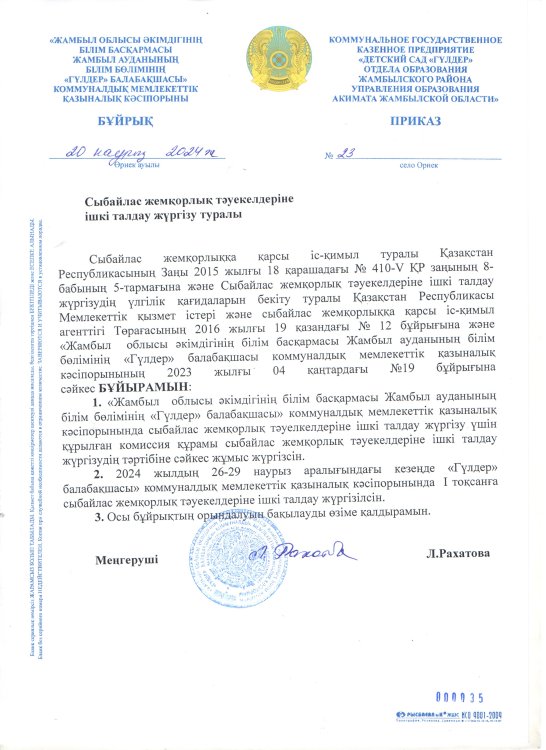 Ішкі талдау бұйрық